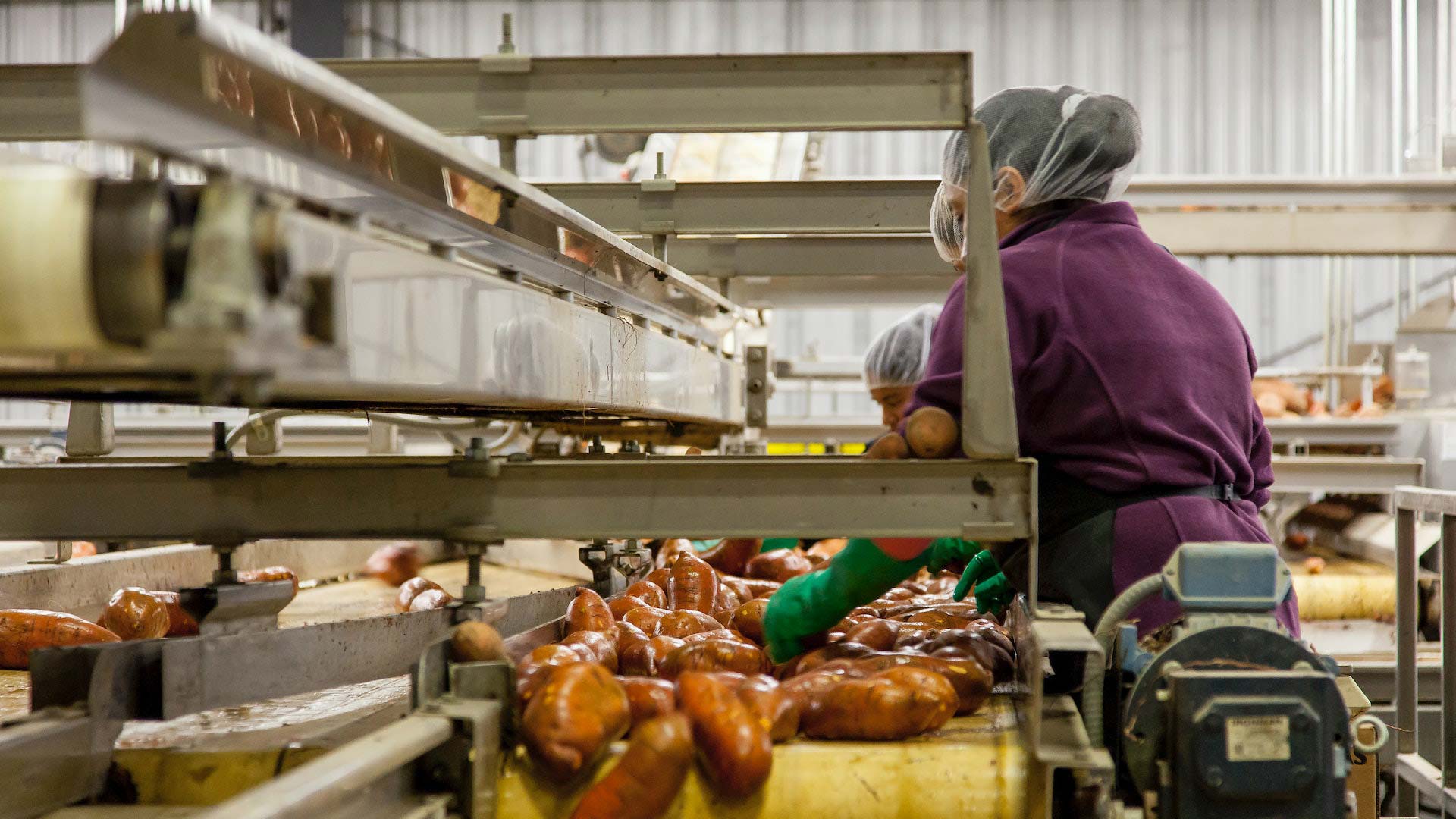 women migrant workers