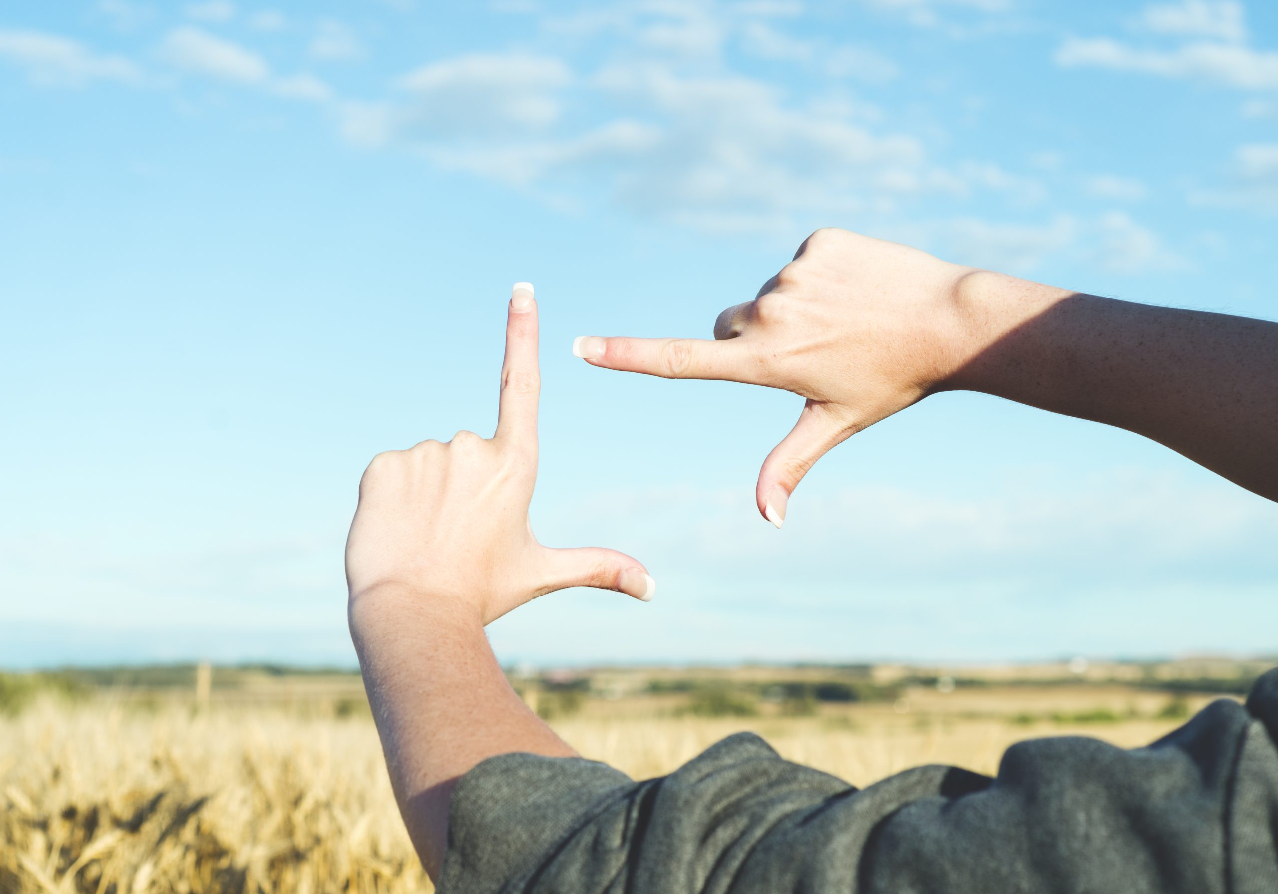 syrian ukrainian refugees