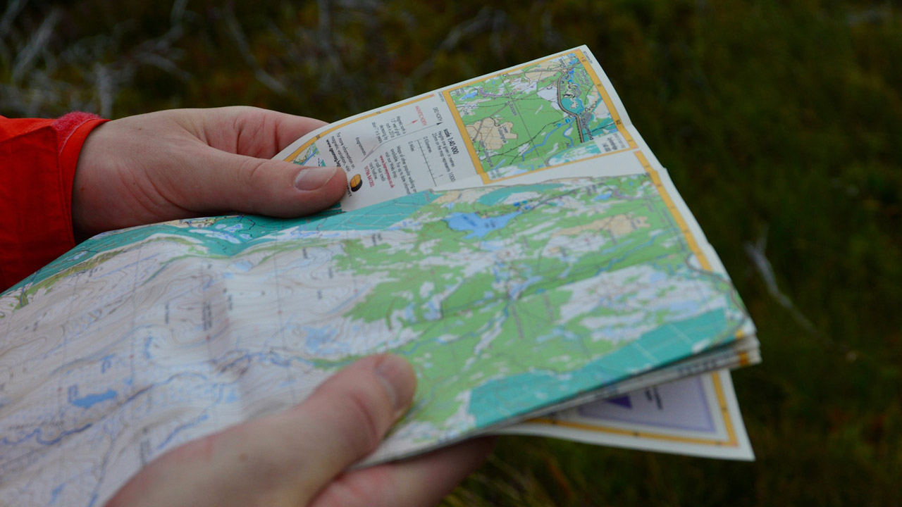 Image Related Content